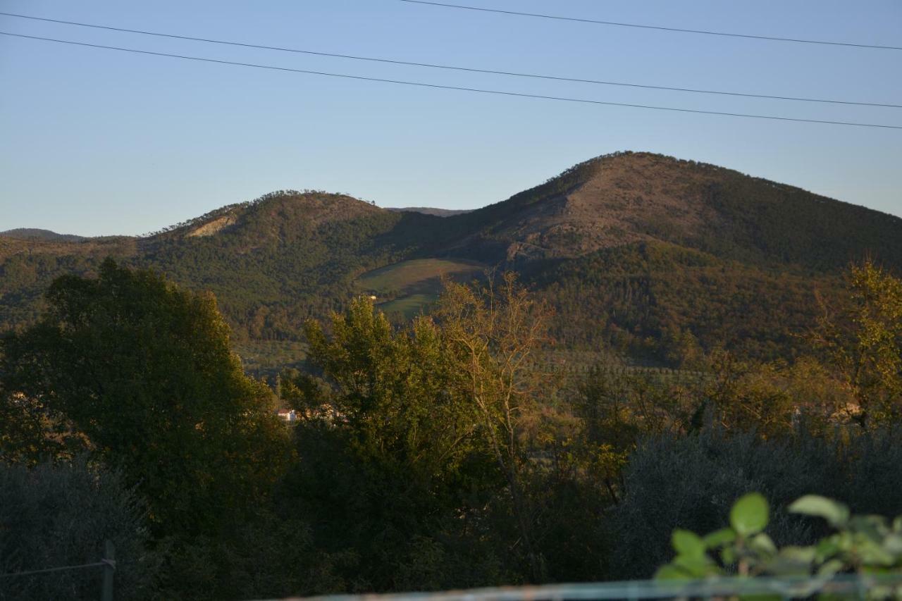 לינה וארוחת בוקר מונטמורלו Borgo Della Rocca מראה חיצוני תמונה